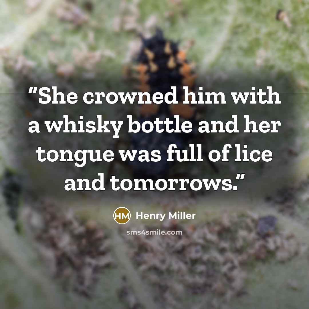 “She crowned him with a whisky bottle and her tongue was full of lice and tomorrows.” quote by Henry Miller
