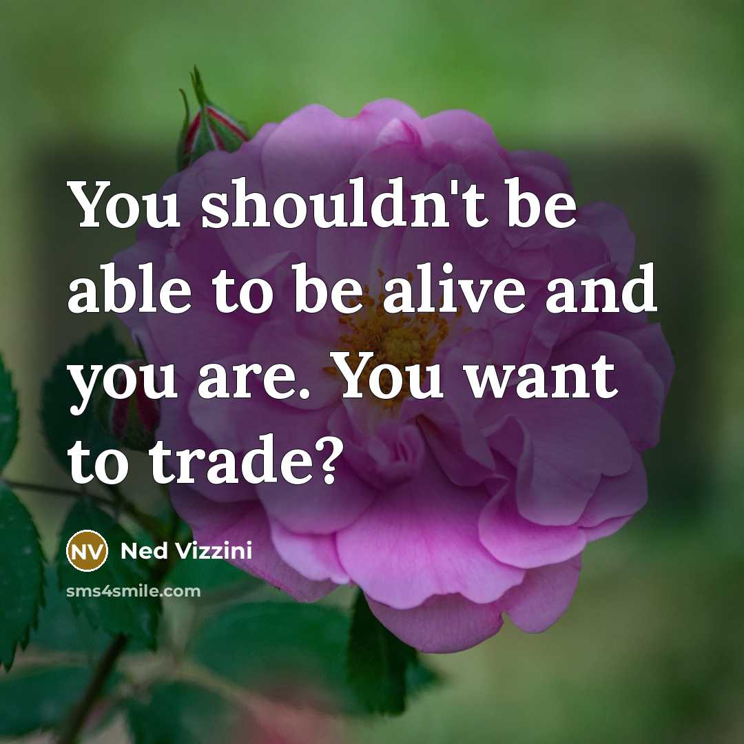 “You shouldn't be able to be alive and you are.…” quote by Ned Vizzini