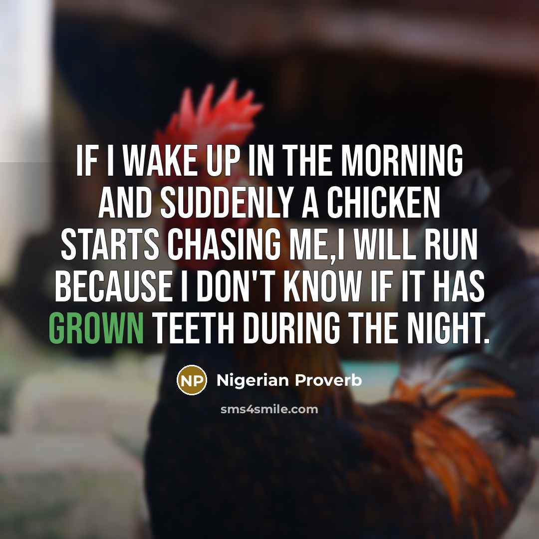 “If I wake up in the morning and suddenly a chicken starts chasing me,I will run because I don't know if it has grown teeth during the night.” quote by Nigerian Proverb