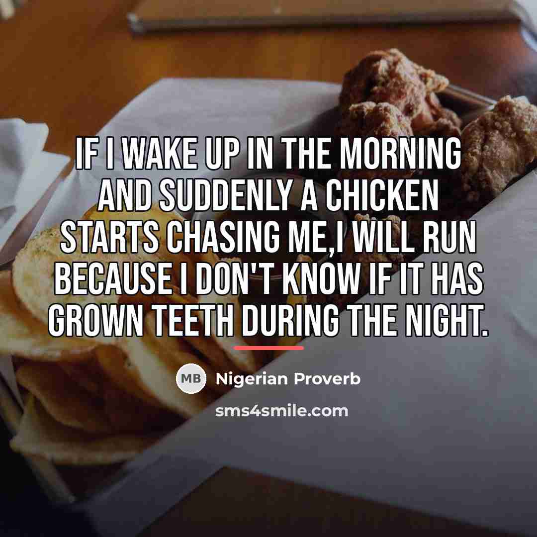 “If I wake up in the morning and suddenly a…” quote by Nigerian Proverb