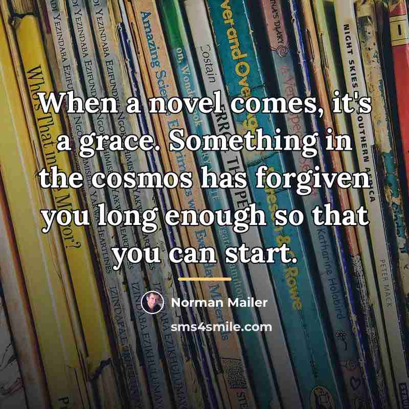 “When a novel comes, it's a grace. Something in the…” quote by Norman Mailer