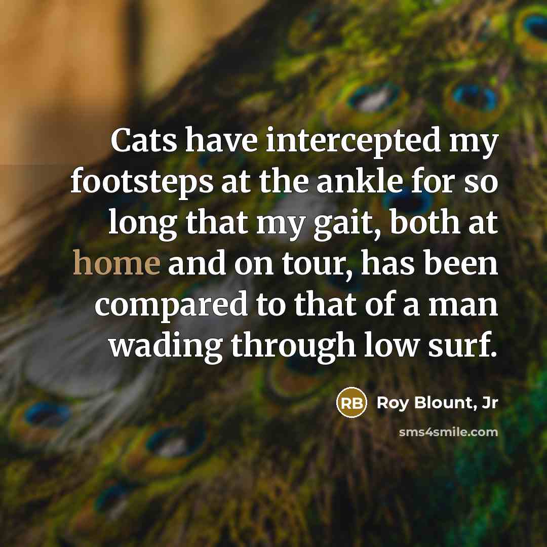 “Cats have intercepted my footsteps at the ankle for so…” quote by Roy Blount, Jr