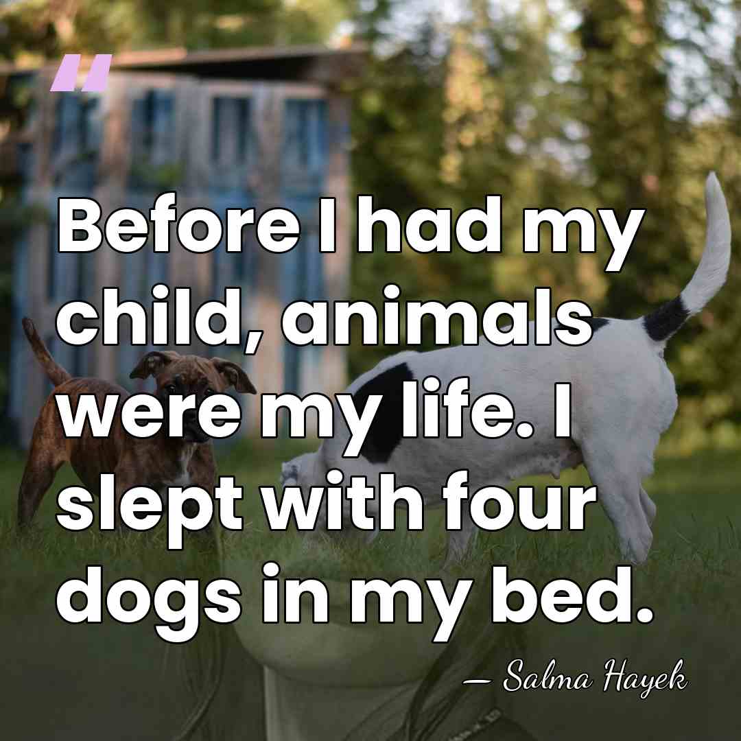 Before I had my child, animals were my life. I slept with&hellip; - Salma Hayek