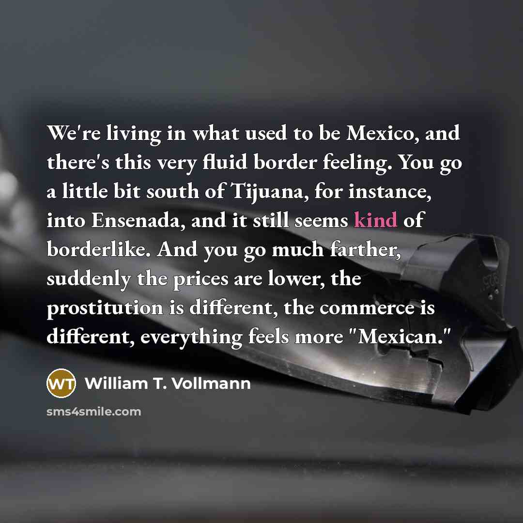 “We're living in what used to be Mexico, and there's…” quote by William T. Vollmann