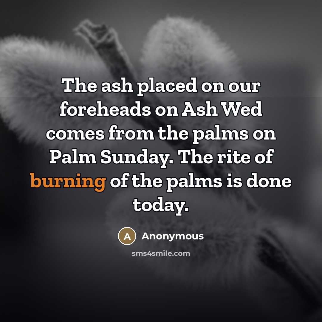 “The ash placed on our foreheads on Ash Wed comes…” quote by Anonymous