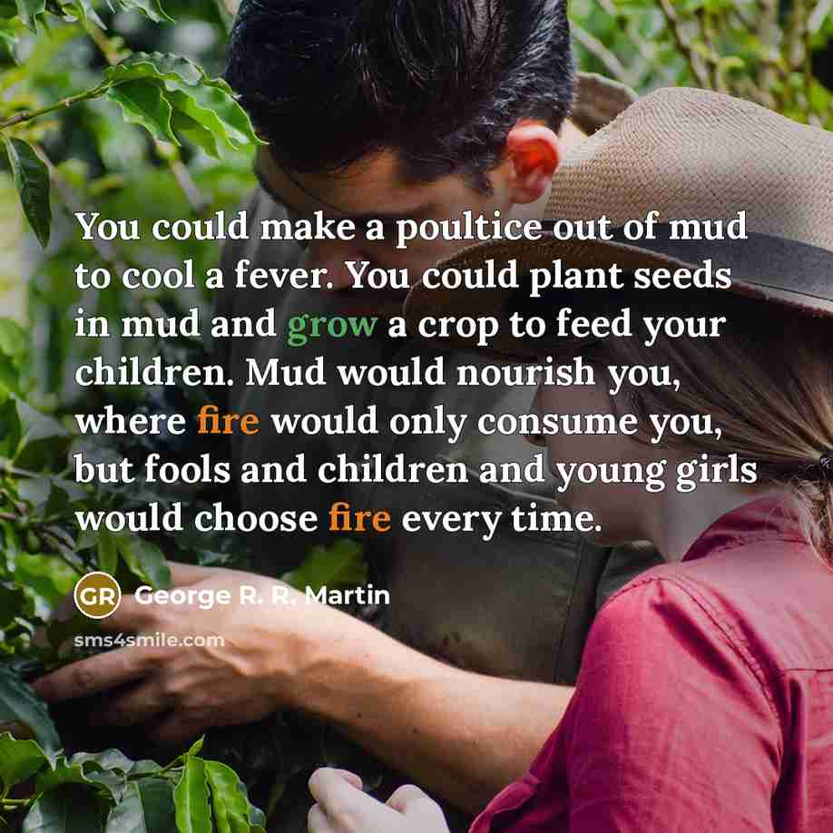 “You could make a poultice out of mud to cool…” quote by George R. R. Martin