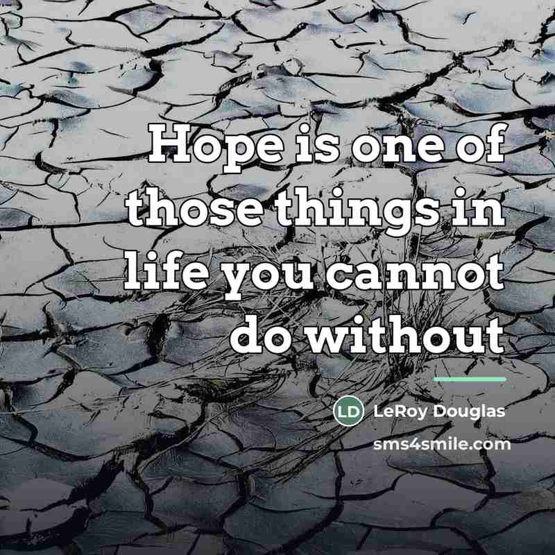 “Hope is one of those things in life you cannot…” quote by LeRoy Douglas