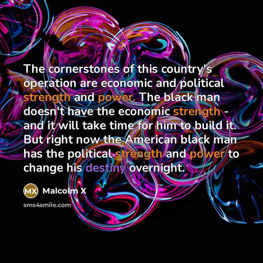 “The cornerstones of this country's operation are economic and political…” quote by Malcolm X