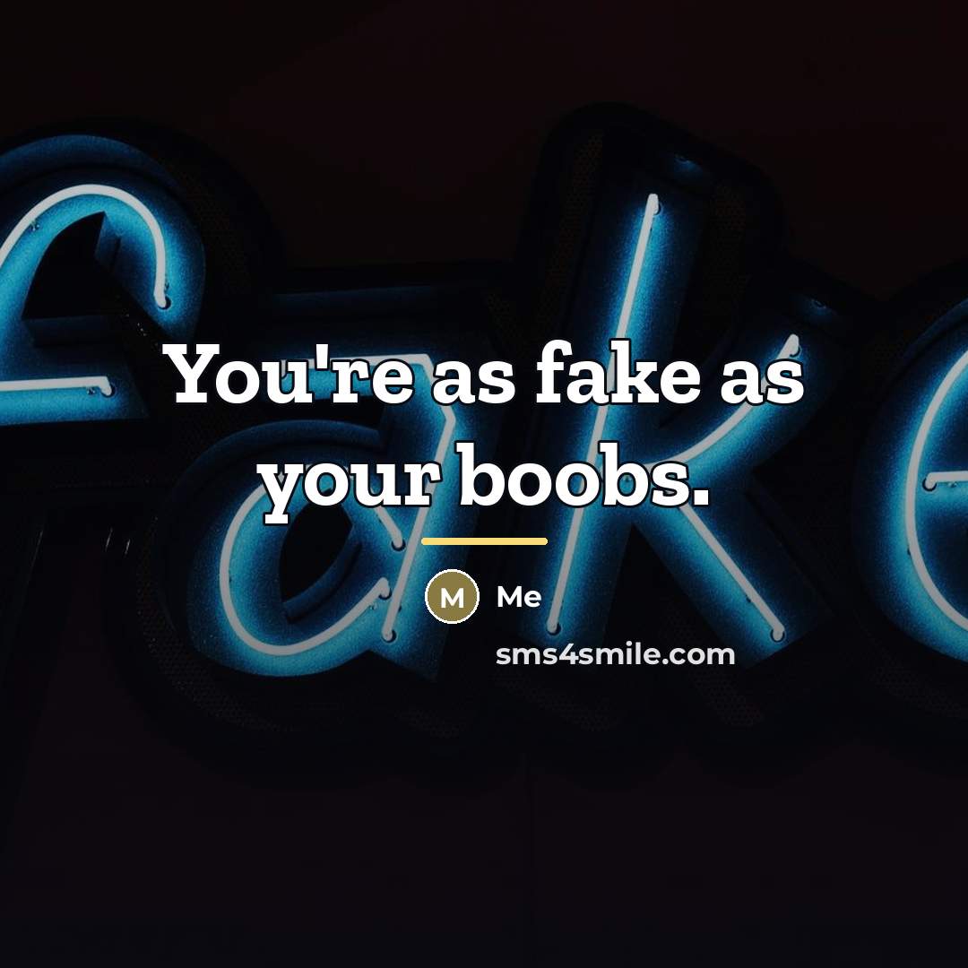 “You're as fake as your boobs.…” quote by ME