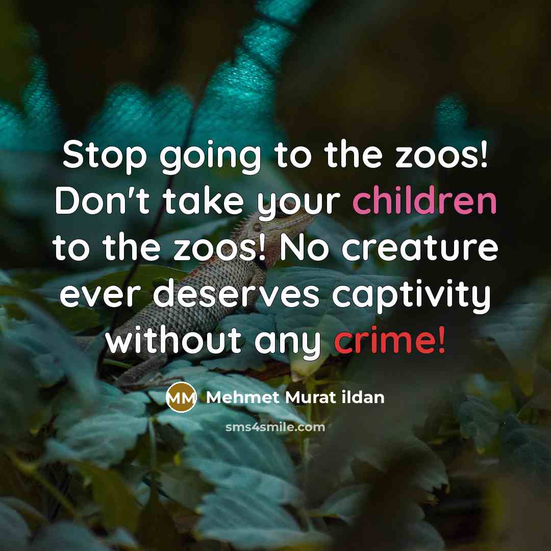 “Stop going to the zoos! Don't take your children to the zoos! No creature ever deserves captivity without any crime!” quote by Mehmet Murat Ildan