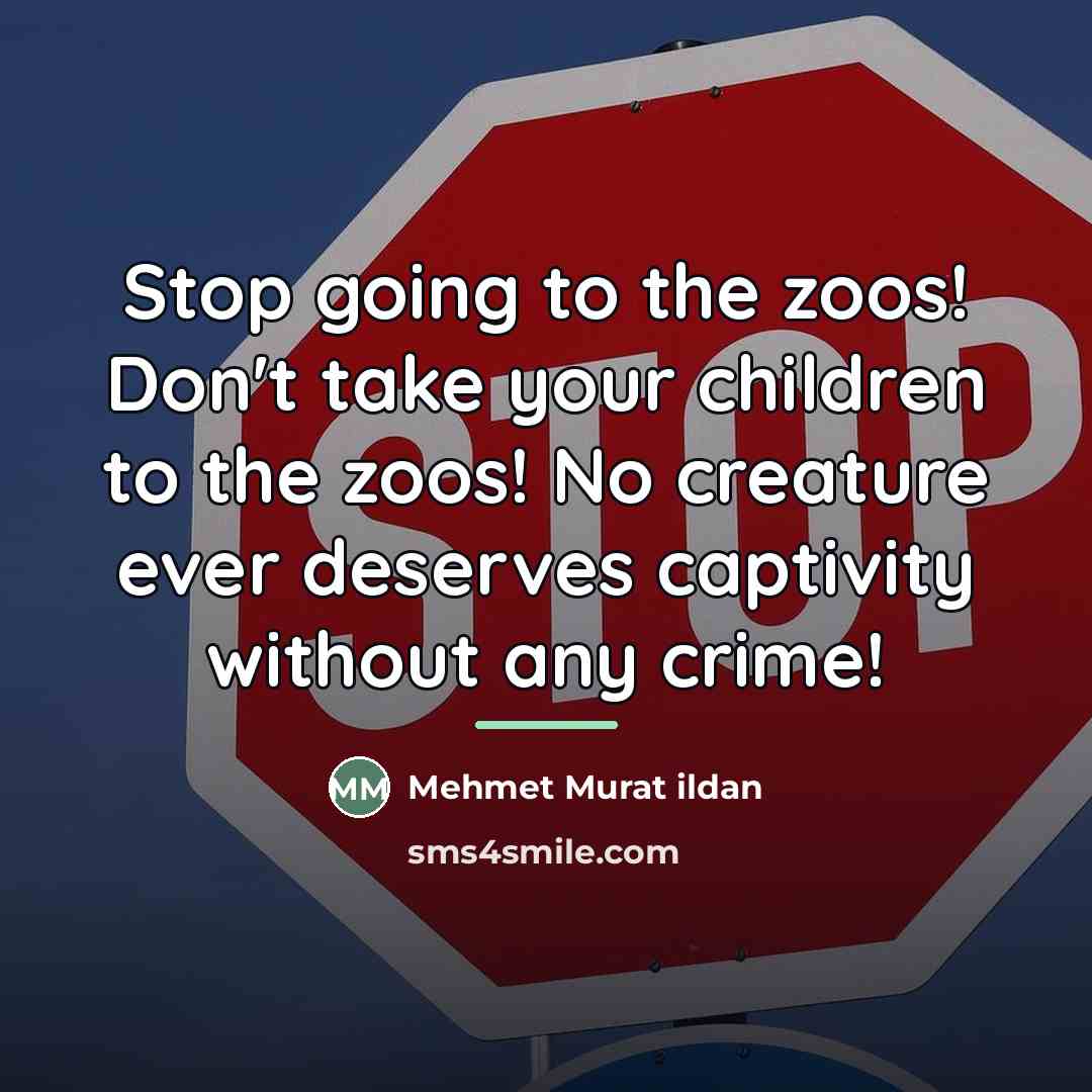 “Stop going to the zoos! Don't take your children to…” quote by Mehmet Murat Ildan