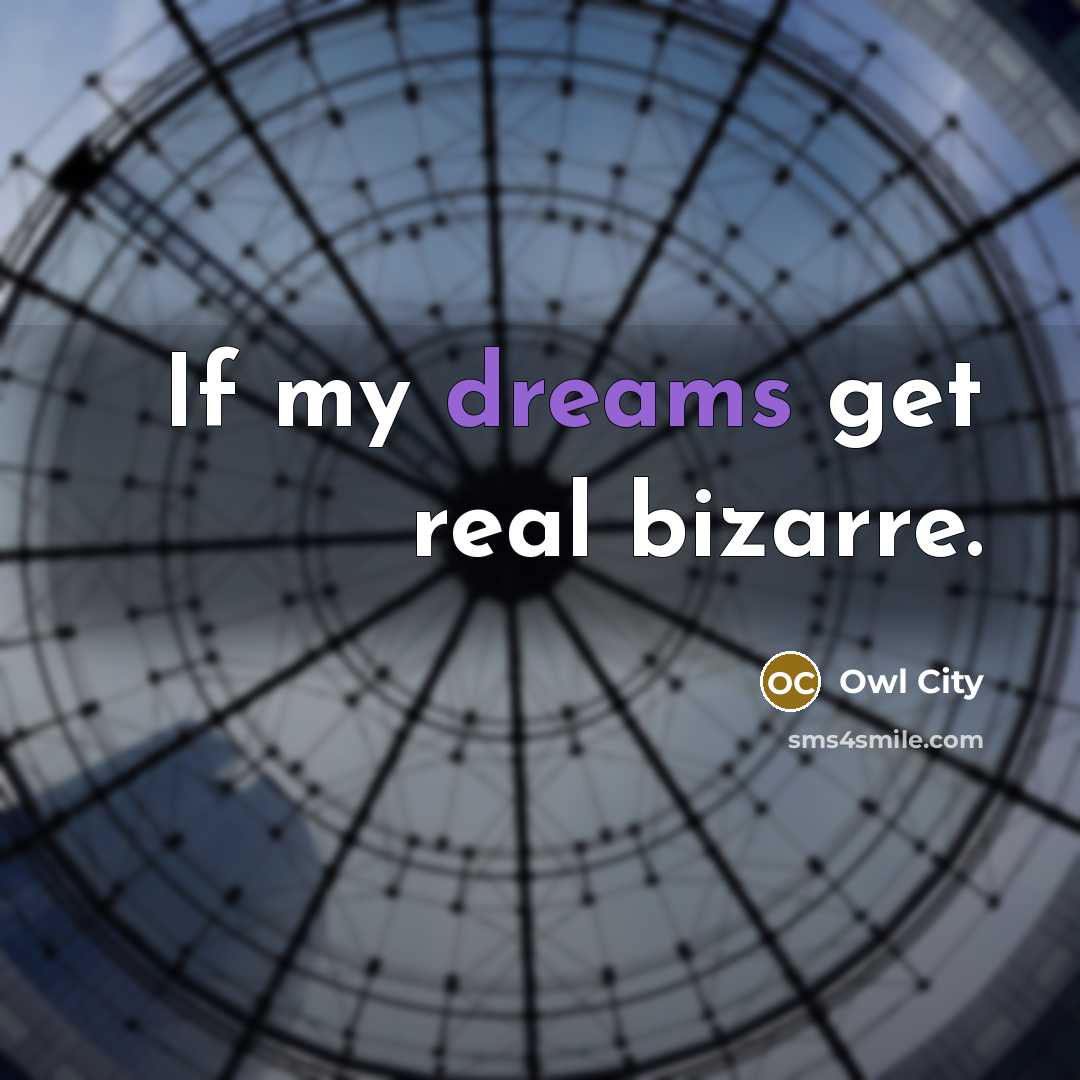 “If my dreams get real bizarre.” quote by Owl City