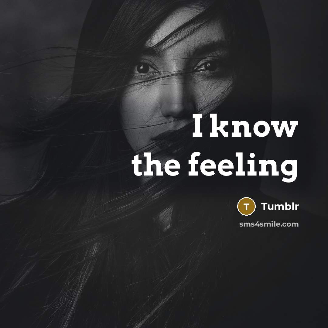 “I know the feeling” quote by Tumblr