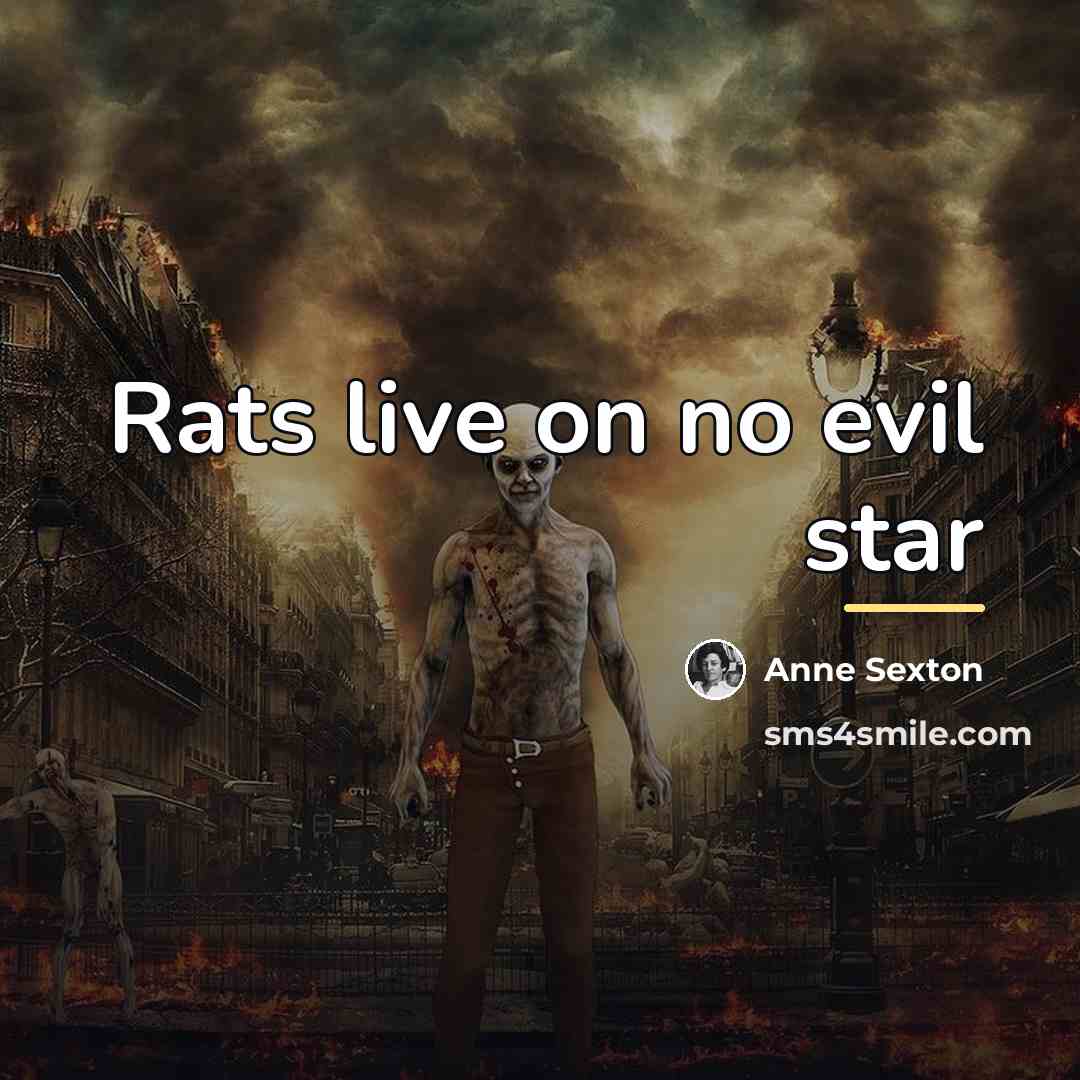 “Rats live on no evil star…” quote by Anne Sexton