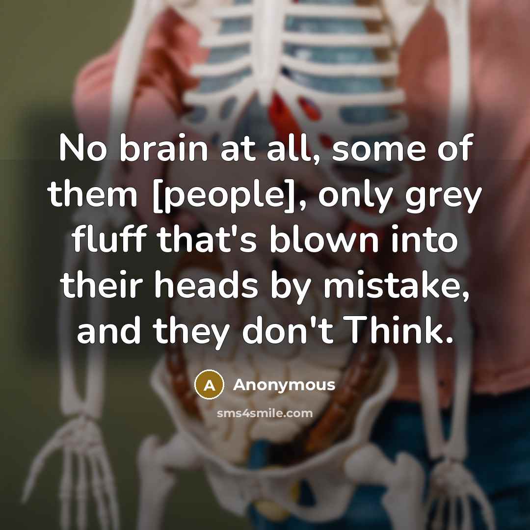 “No brain at all, some of them [people], only grey…” quote by Anonymous