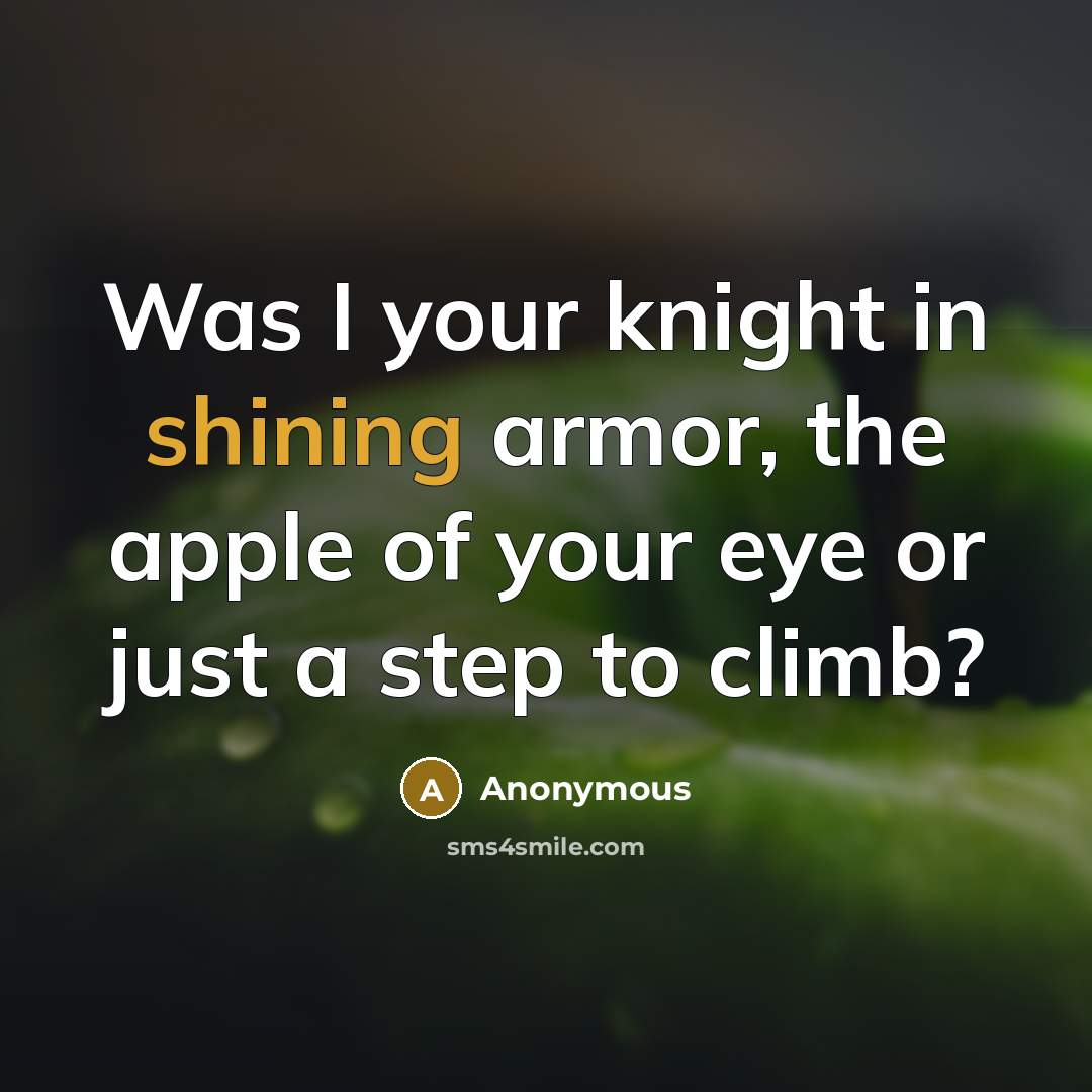 “Was I your knight in shining armor, the apple of…” quote by Anonymous