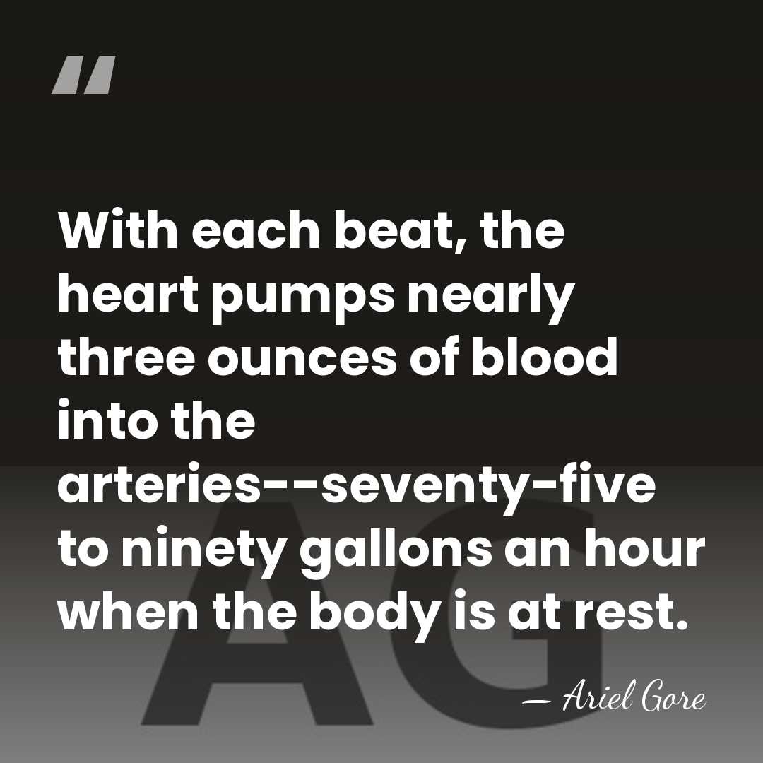With each beat, the heart pumps nearly three ounces of blood into&hellip; - Ariel Gore