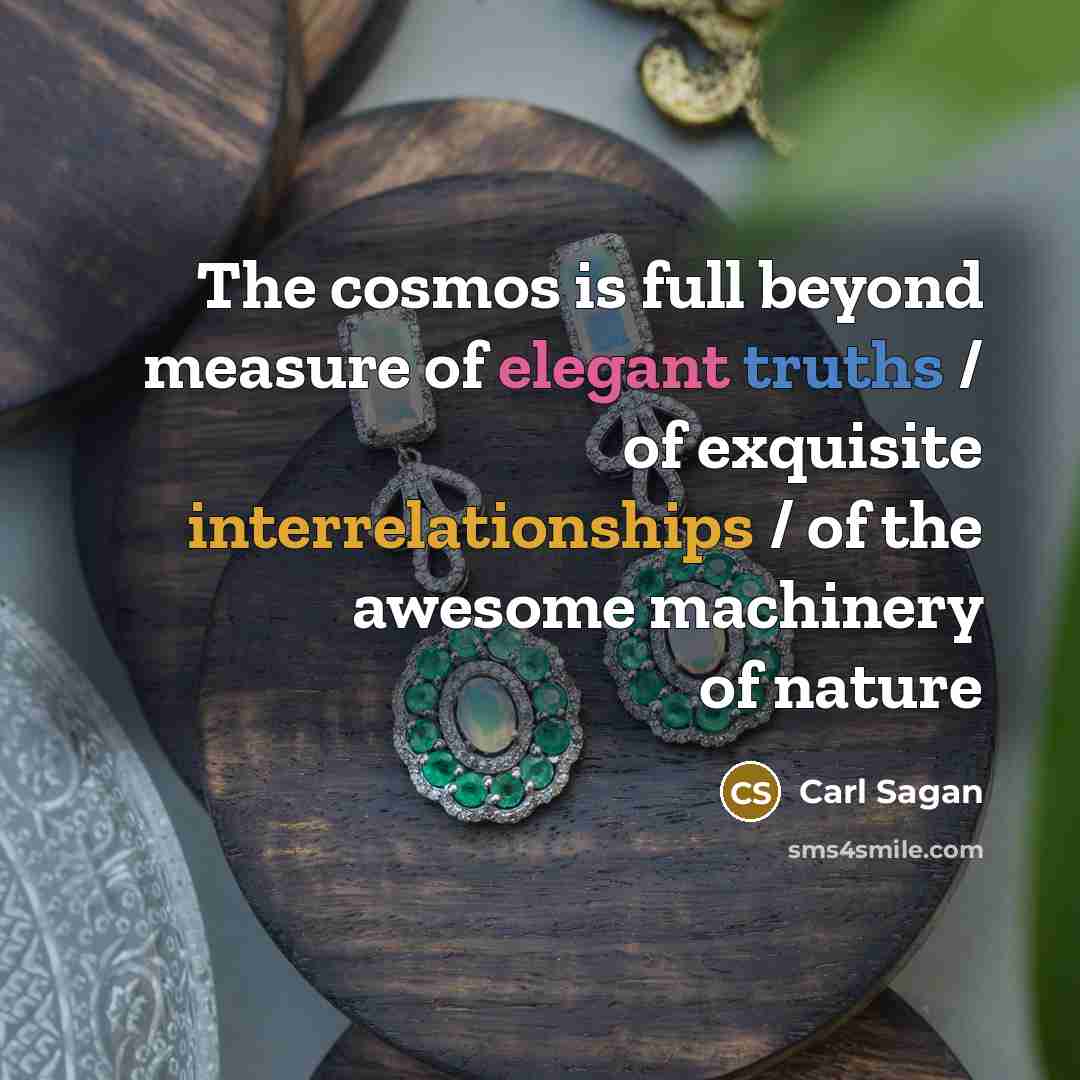 “The cosmos is full beyond measure of elegant truths /…” quote by Carl Sagan
