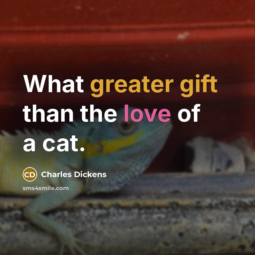 “What greater gift than the love of a cat.…” quote by Charles Dickens