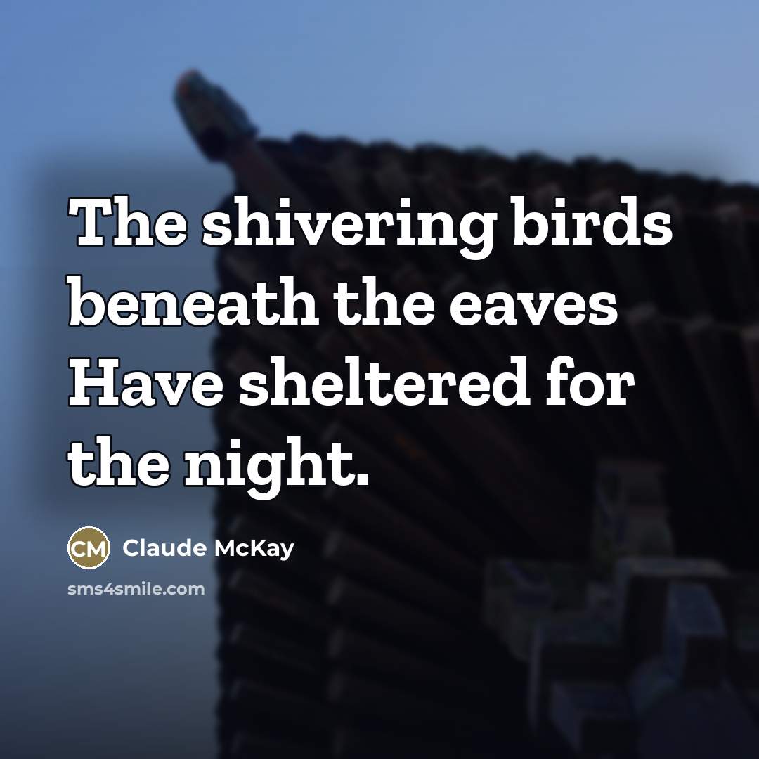 “The shivering birds beneath the eaves Have sheltered for the…” quote by Claude McKay