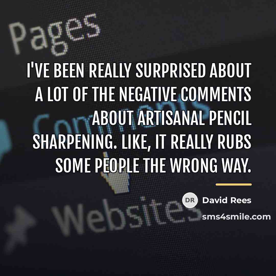 “I've been really surprised about a lot of the negative…” quote by David Rees