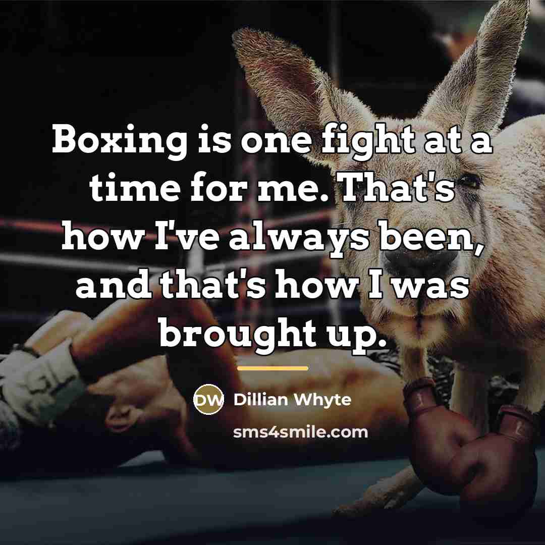 “Boxing is one fight at a time for me. That's…” quote by Dillian Whyte