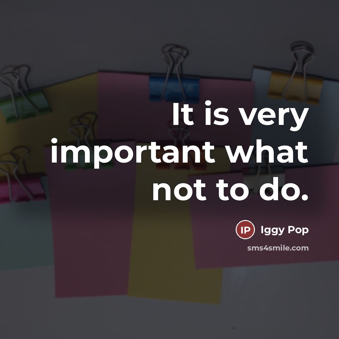 “It is very important what not to do.…” quote by Iggy Pop