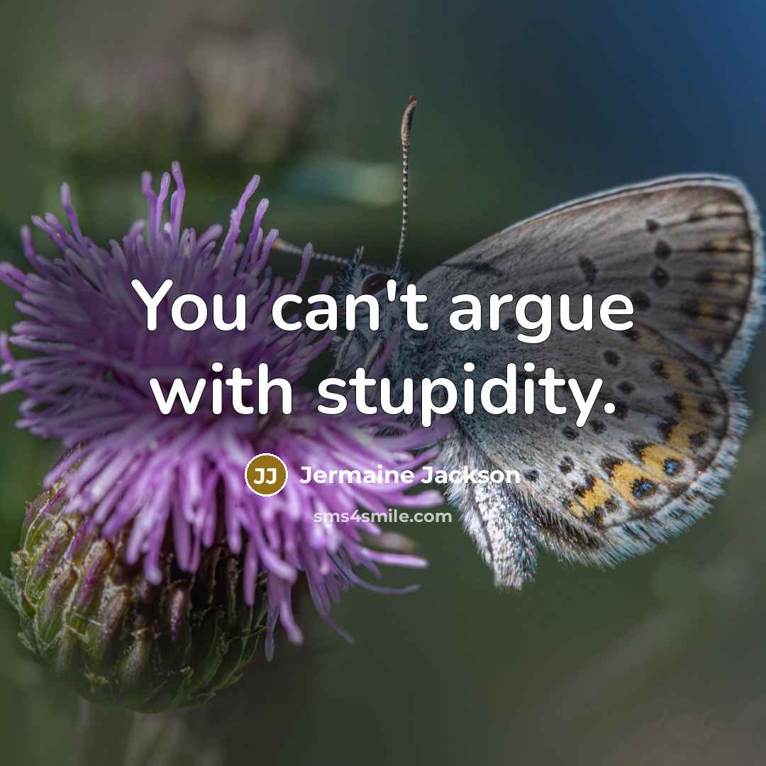 “You can't argue with stupidity.…” quote by Jermaine Jackson