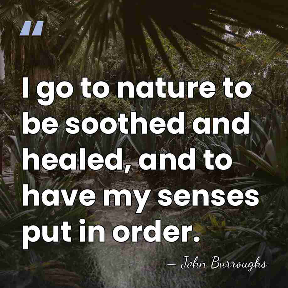 I go to nature to be soothed and healed, and to have&hellip; - John Burroughs