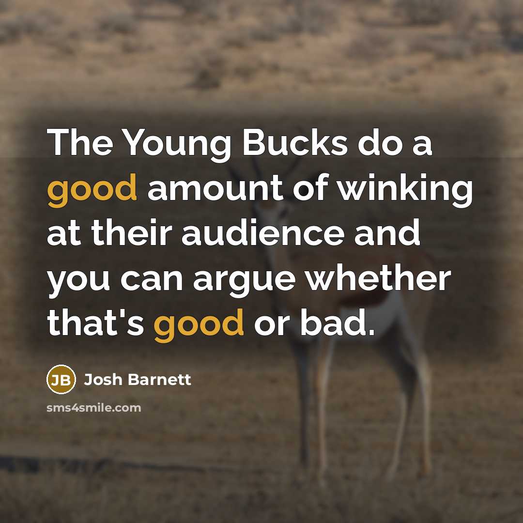 “The Young Bucks do a good amount of winking at…” quote by Josh Barnett