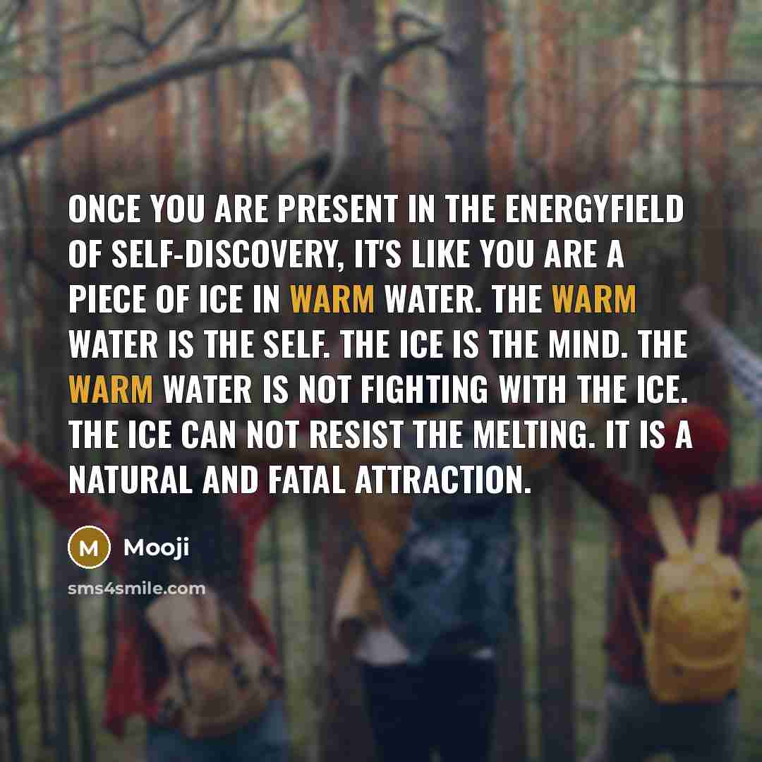 “Once you are present in the Energyfield of Self-discovery, it's…” quote by Mooji