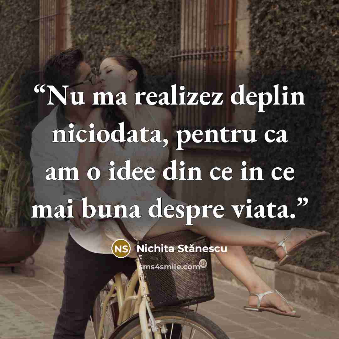 “Nu ma realizez deplin niciodata, pentru ca am o idee din ce in ce mai buna despre viata.” quote by Nichita Stănescu