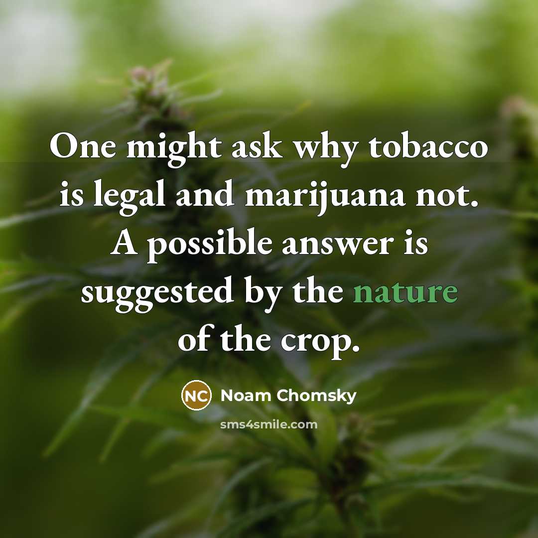 “One might ask why tobacco is legal and marijuana not.…” quote by Noam Chomsky