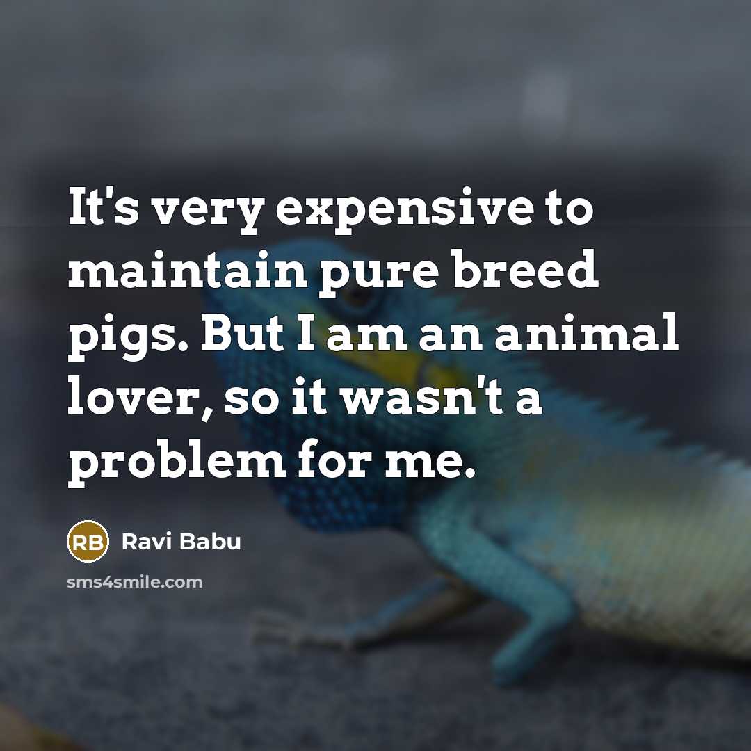 “It's very expensive to maintain pure breed pigs. But I…” quote by Ravi Babu