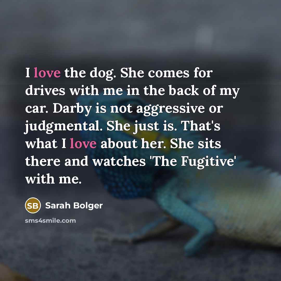 “I love the dog. She comes for drives with me…” quote by Sarah Bolger