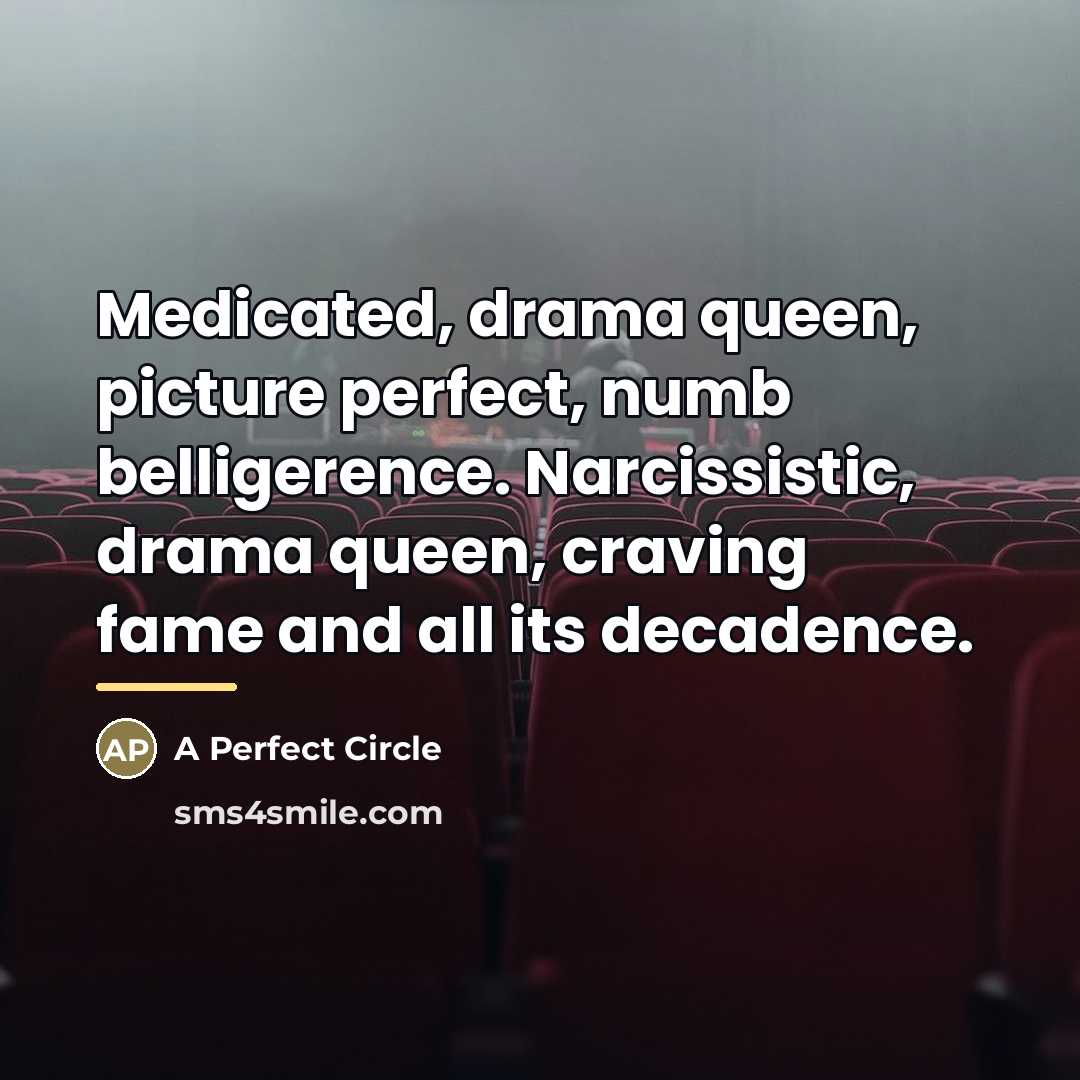 “Medicated, drama queen, picture perfect, numb belligerence. Narcissistic, drama queen,…” quote by A Perfect Circle