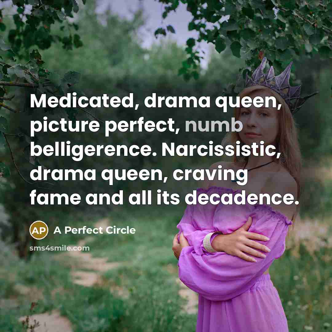 “Medicated, drama queen, picture perfect, numb belligerence. Narcissistic, drama queen, craving fame and all its decadence.” quote by A Perfect Circle