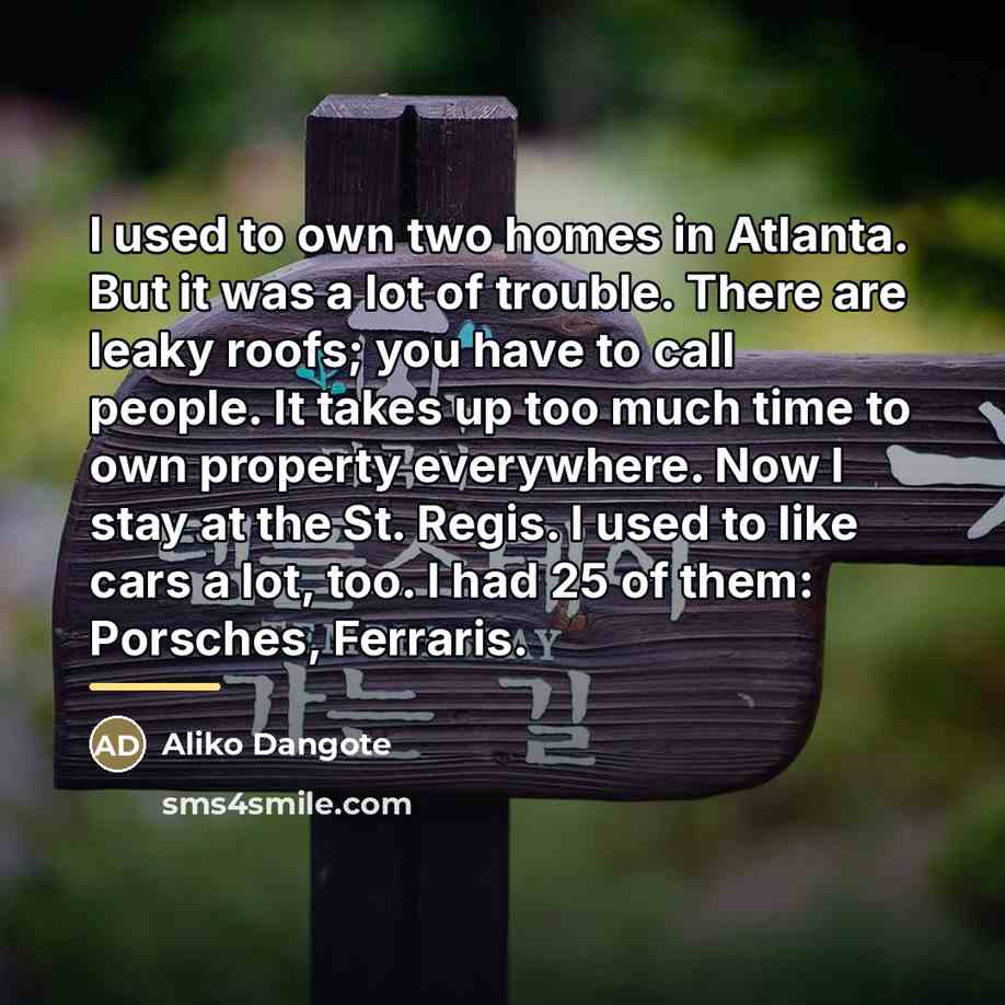 “I used to own two homes in Atlanta. But it…” quote by Aliko Dangote