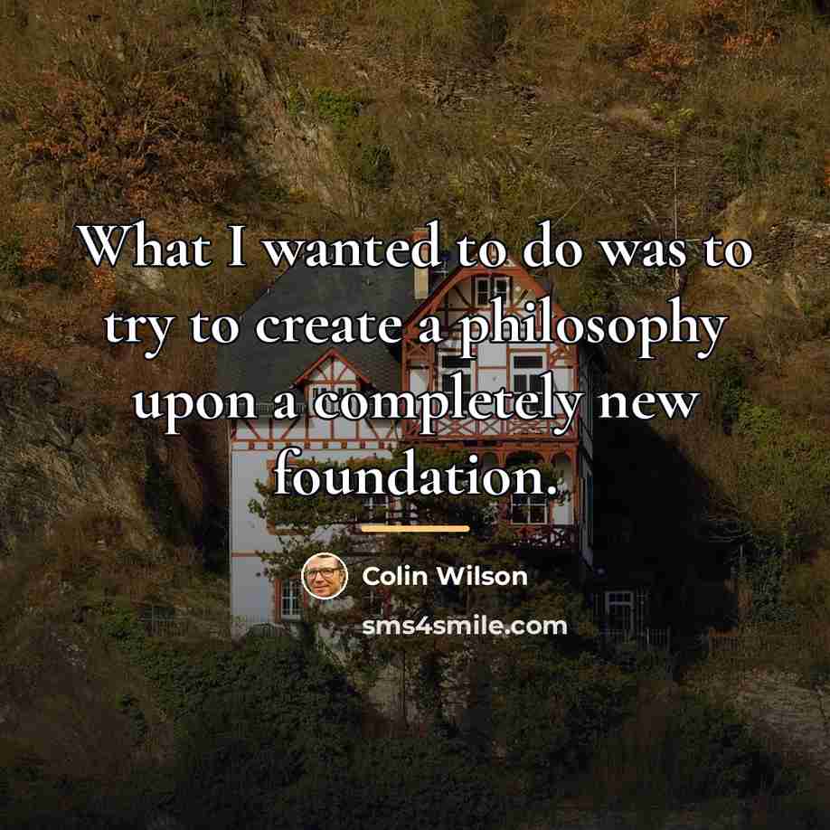 “What I wanted to do was to try to create…” quote by Colin Wilson