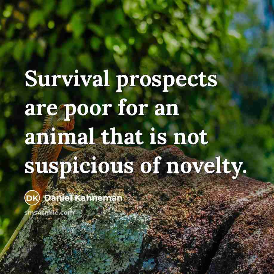 “Survival prospects are poor for an animal that is not…” quote by Daniel Kahneman