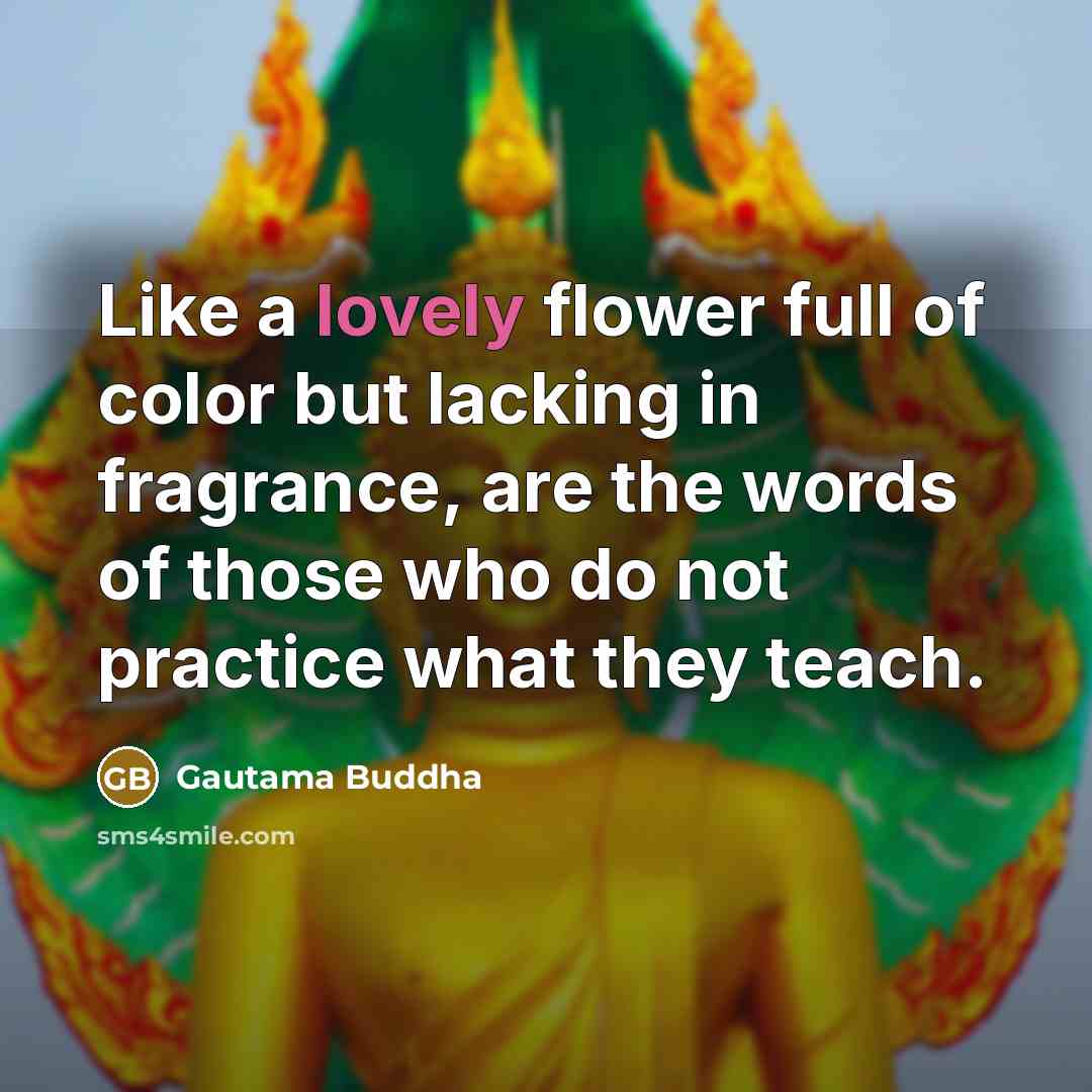 “Like a lovely flower full of color but lacking in…” quote by Gautama Buddha