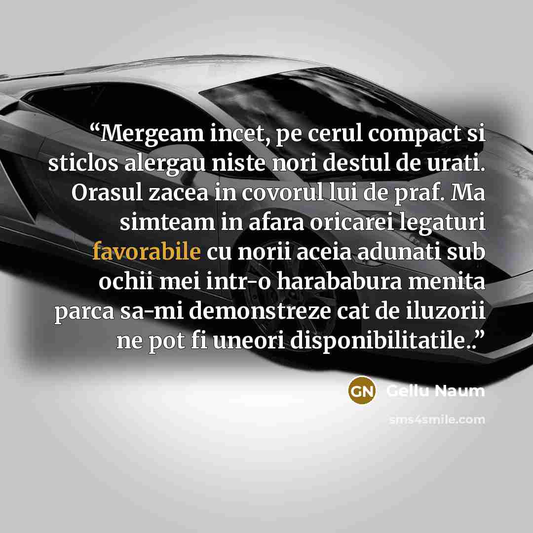 “Mergeam incet, pe cerul compact si sticlos alergau niste nori destul de urati. Orasul zacea in covorul lui de praf. Ma simteam in afara oricarei legaturi favorabile cu norii aceia adunati sub ochii mei intr-o harababura menita parca sa-mi demonstreze cat de iluzorii ne pot fi uneori…” quote by Gellu Naum