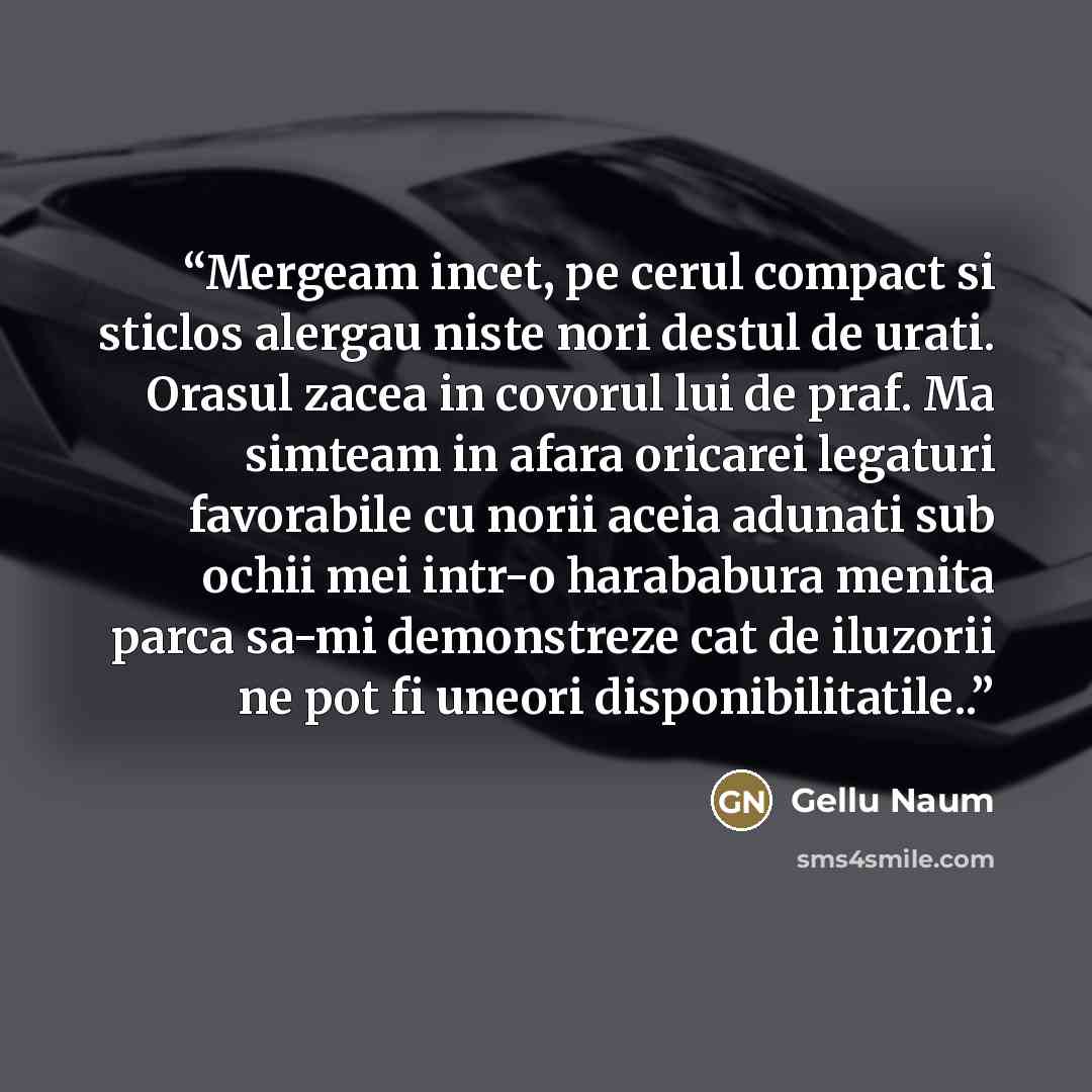 “Mergeam incet, pe cerul compact si sticlos alergau niste nori destul de urati. Orasul zacea in covorul lui de praf. Ma simteam in afara oricarei legaturi favorabile cu norii aceia adunati sub ochii mei intr-o harababura menita parca sa-mi demonstreze cat de iluzorii ne pot fi uneori…” quote by Gellu Naum