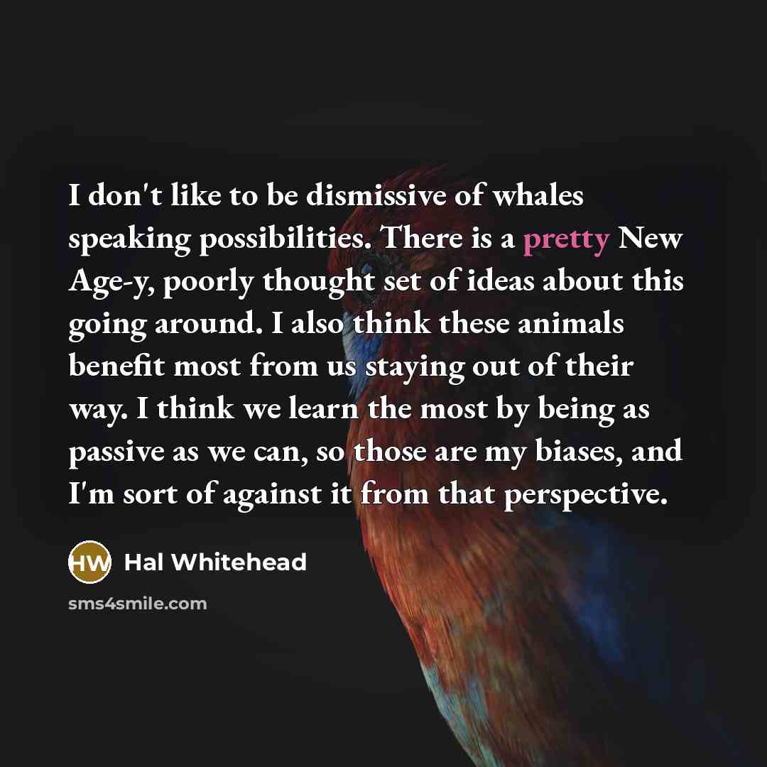 “I don't like to be dismissive of whales speaking possibilities.…” quote by Hal Whitehead