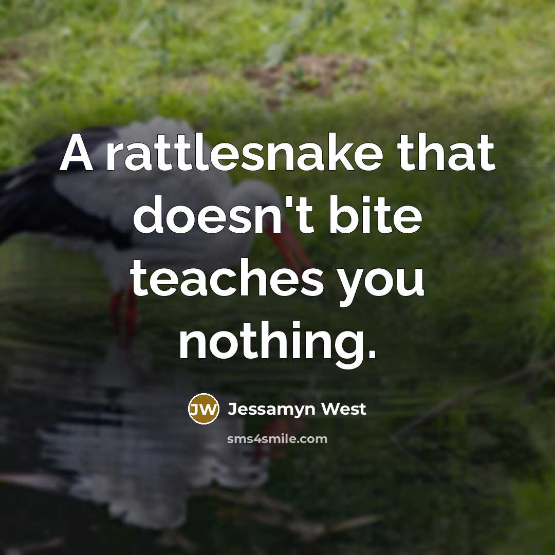 “A rattlesnake that doesn't bite teaches you nothing.” quote by Jessamyn West