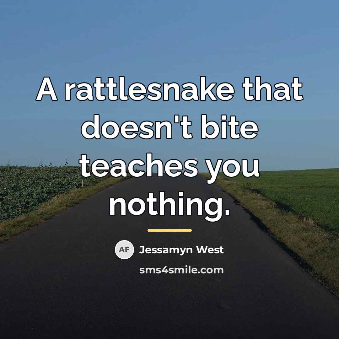 “A rattlesnake that doesn't bite teaches you nothing.…” quote by Jessamyn West