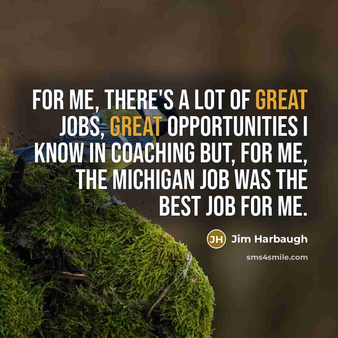 “For me, there's a lot of great jobs, great opportunities…” quote by Jim Harbaugh