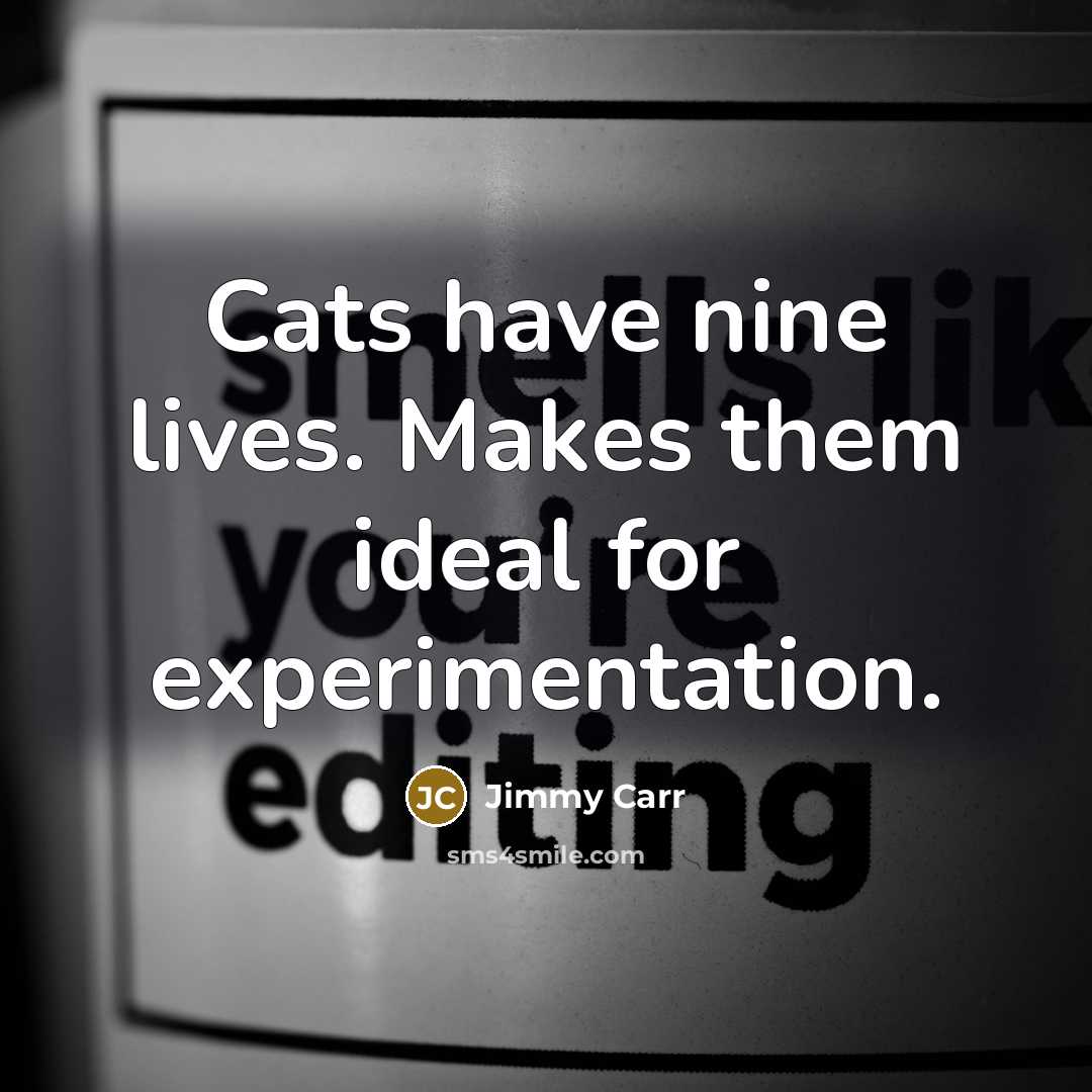“Cats have nine lives. Makes them ideal for experimentation.…” quote by Jimmy Carr