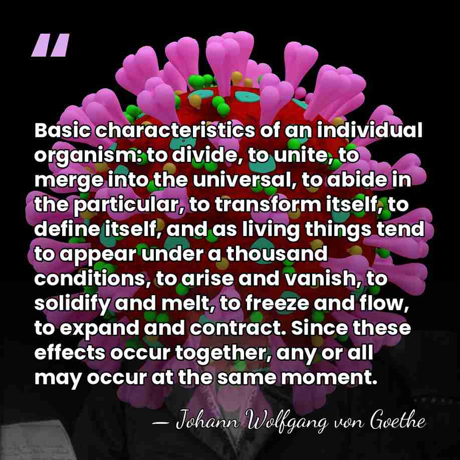 Basic characteristics of an individual organism: to divide, to unite, to merge&hellip; - Johann Wolfgang von Goethe