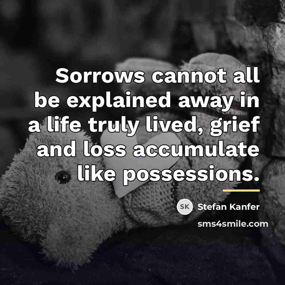 “Sorrows cannot all be explained away in a life truly…” quote by Stefan Kanfer